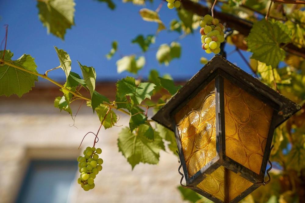 Chateau Du Raysse Villa Cazoules Ngoại thất bức ảnh